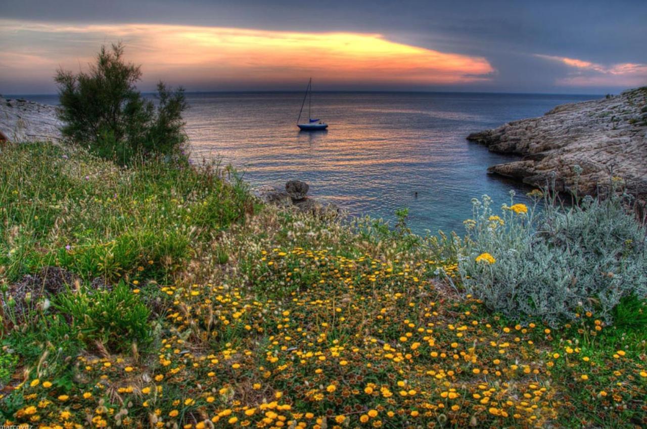 La Petite Calanque